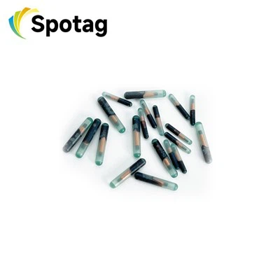 Kako RFID oznake za životinje pomažu u upravljanju životinjama?